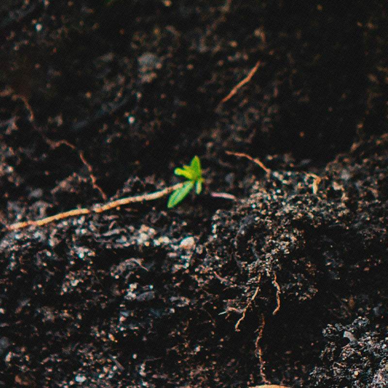 website_sustainability - The Conscious Bar