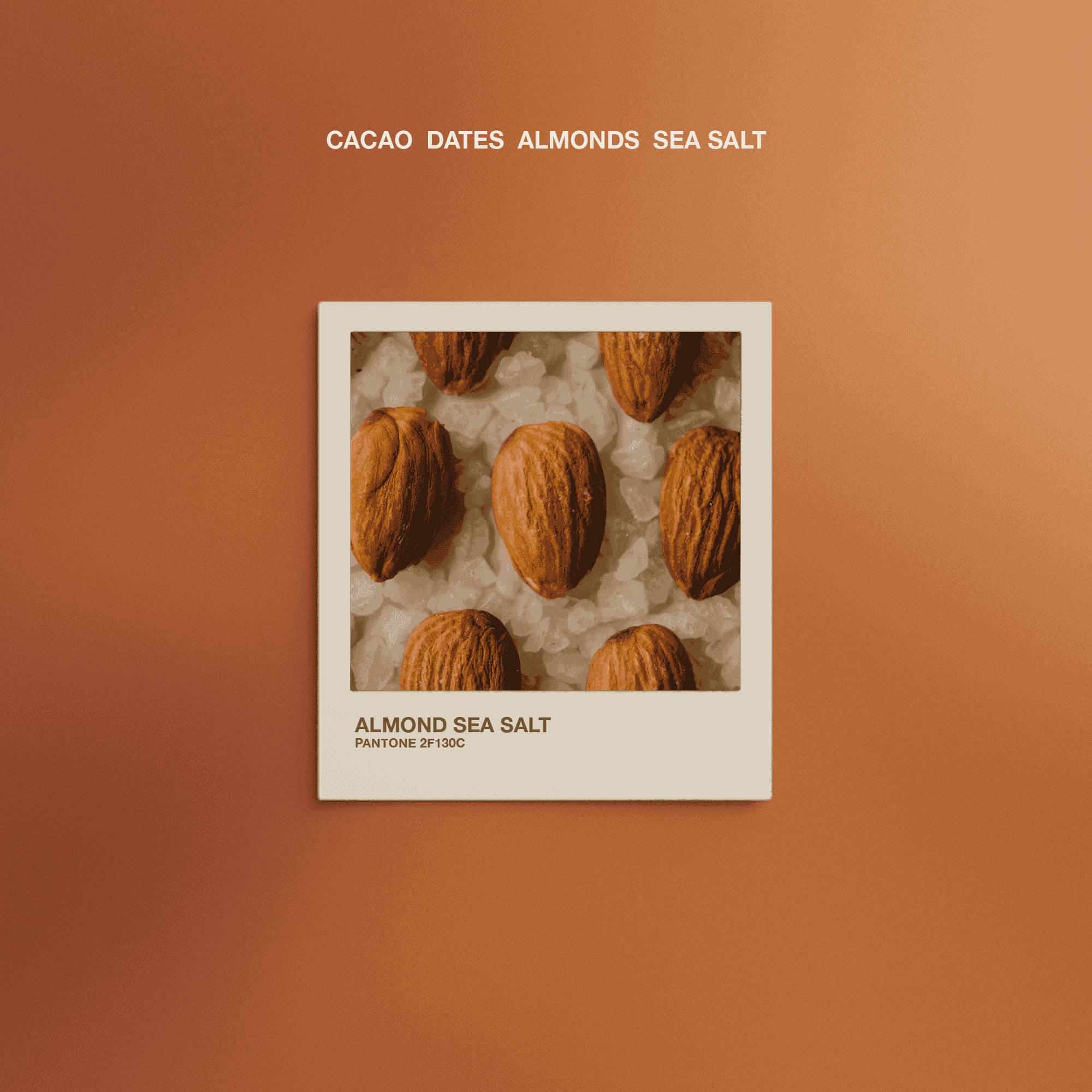 Almond Sea Salt - The Conscious Bar