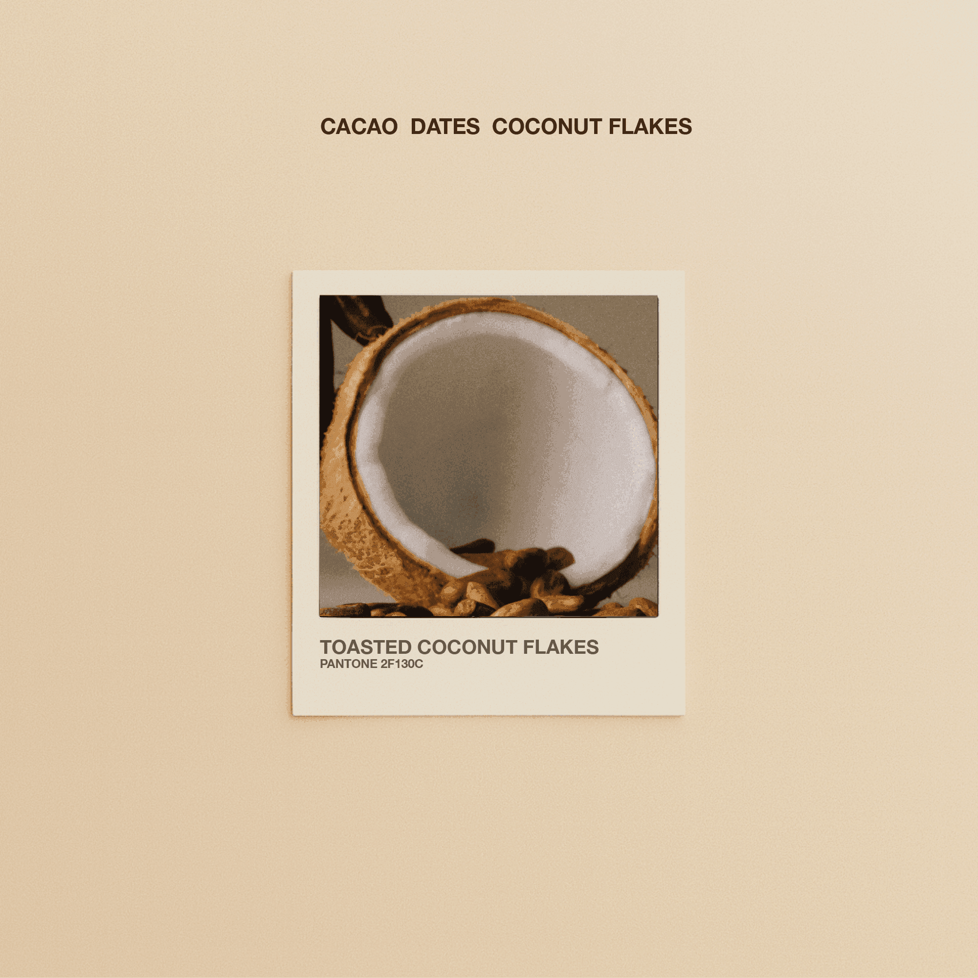 Toasted Coconut Flakes - The Conscious Bar