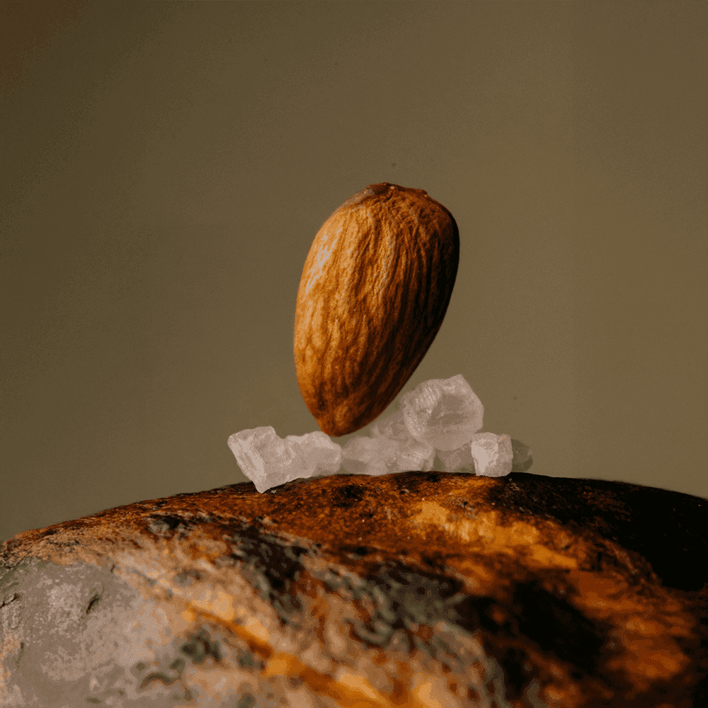 Almond Sea Salt - The Conscious Bar