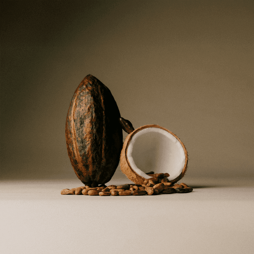 Toasted Coconut Flakes - The Conscious Bar