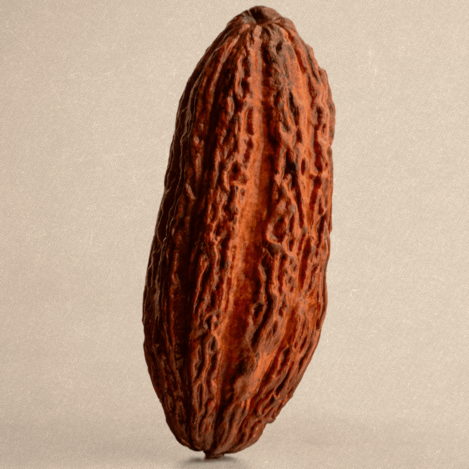 Cocoa bean on a beige background